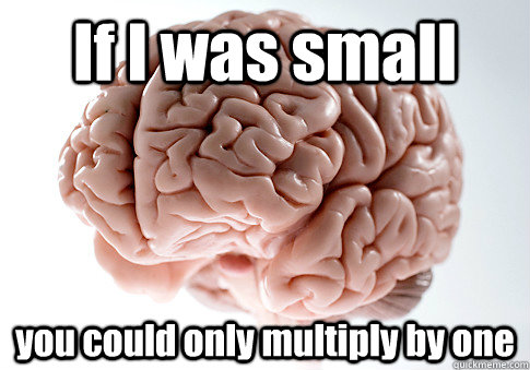 If I was small  you could only multiply by one  Scumbag Brain