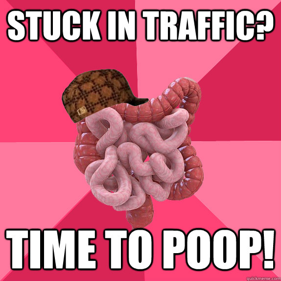 Stuck in traffic? Time to poop!  Scumbag Intestines