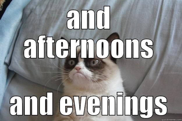 AND AFTERNOONS AND EVENINGS Grumpy Cat