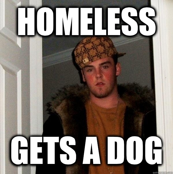 Homeless Gets a dog  Scumbag Steve