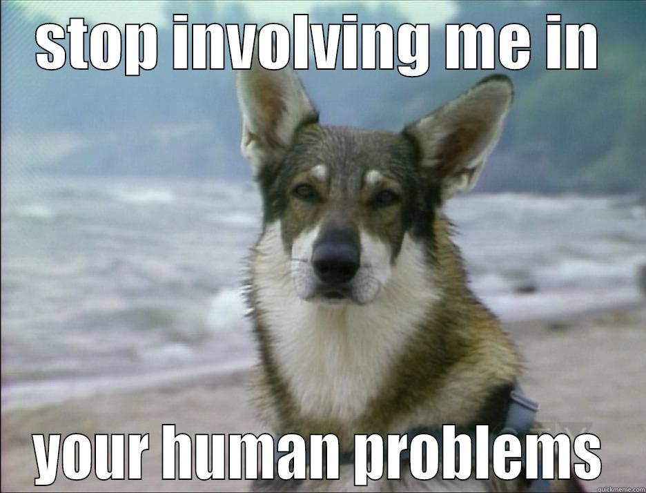 STOP INVOLVING ME IN YOUR HUMAN PROBLEMS Misc