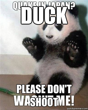 Duck Please don't shoot  Plausible deniability panda