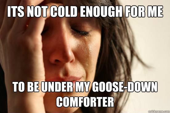 Its not cold enough for me to be under my GOOSE-DOWN COMFORTER  First World Problems