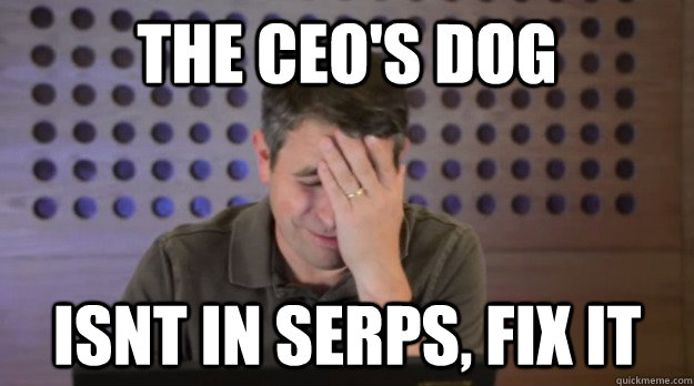 The CEO's dog isnt in SERPs, Fix it  Facepalm Matt Cutts