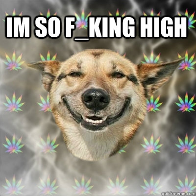 im so f_king high   Stoner Dog