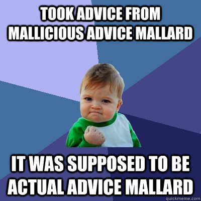 Took Advice from Mallicious Advice Mallard It was supposed to be actual advice mallard  Success Kid