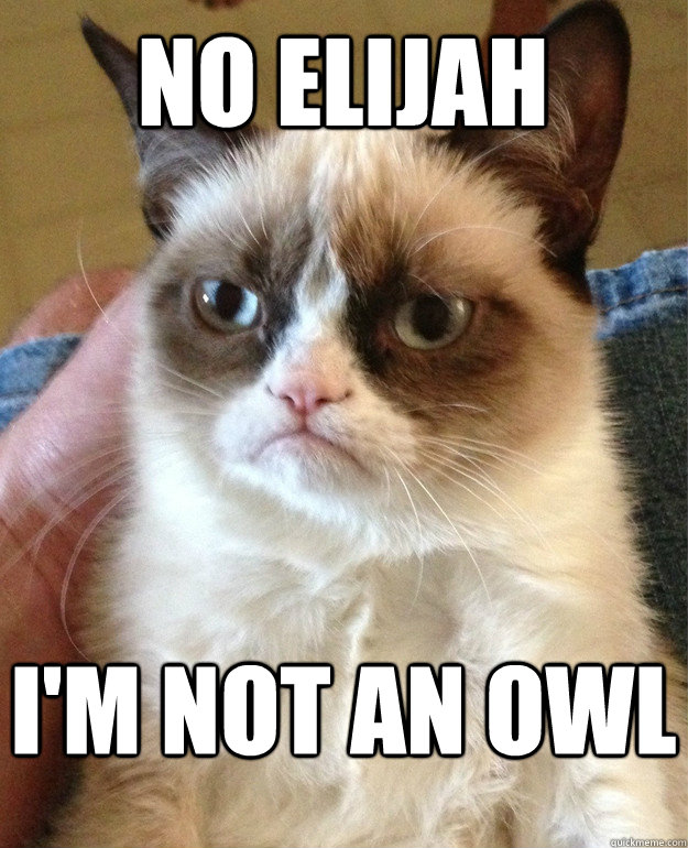 NO Elijah I'm not an owl  Grumpy Cat