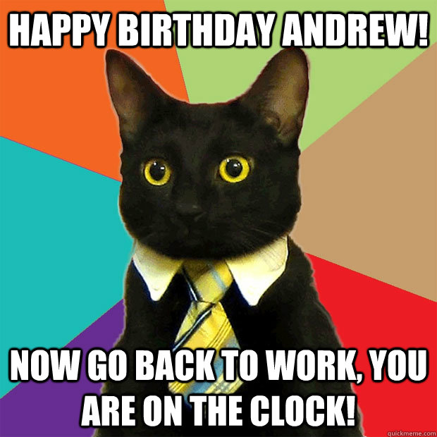 HAPPY BIrthday andrew! Now go back to work, you are on the clock!  Business Cat