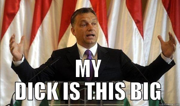 ORBAN TELLING YOU HOW IT IS -  MY DICK IS THIS BIG Misc