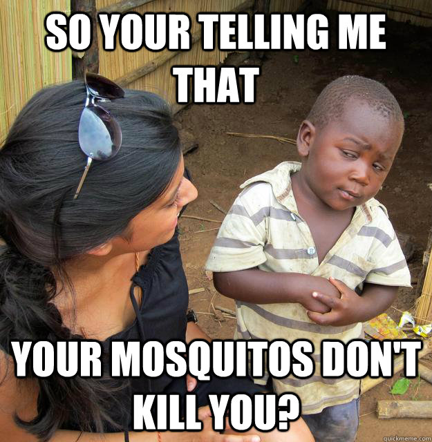 So your telling me that Your mosquitos don't kill you?  Skeptical Third World Kid