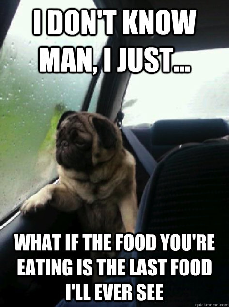 I don't know man, I just... what if the food you're eating is the last food i'll ever see  Introspective Pug