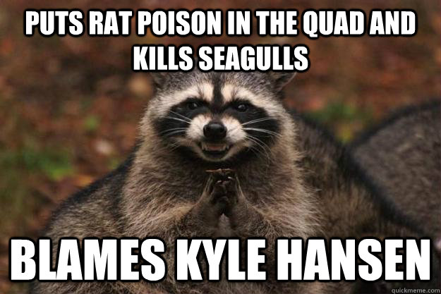 Puts rat poison in the quad and kills seagulls  blames kyle hansen   Evil Plotting Raccoon