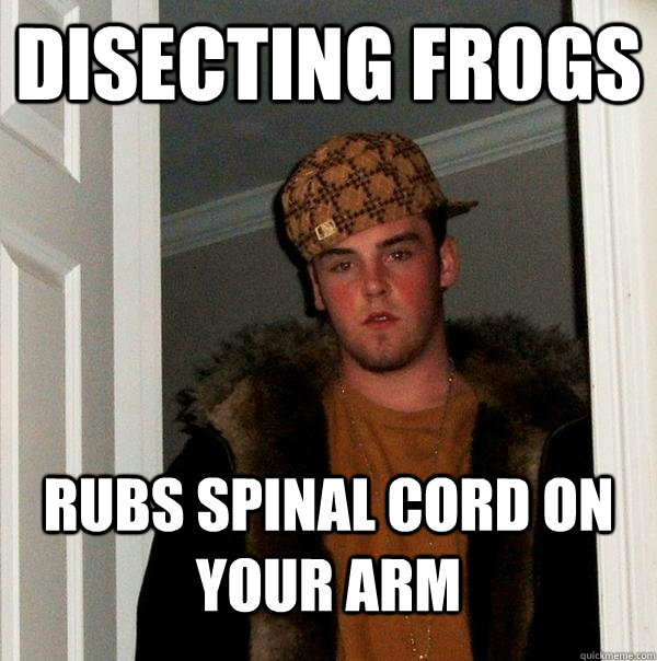 disecting frogs rubs spinal cord on your arm  Scumbag Steve