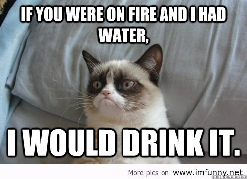 If you were on fire and i had water, I would drink it.  