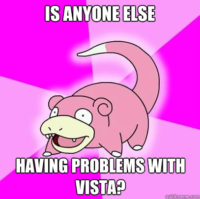 is anyone else having problems with vista?  Slowpoke