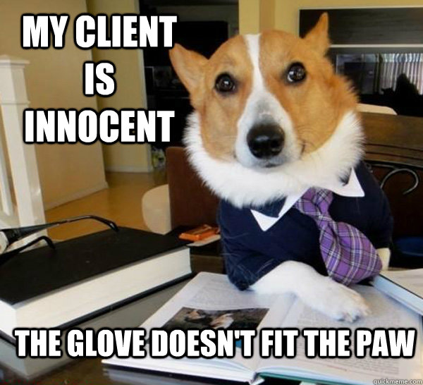 My client is innocent  the glove doesn't fit the paw  Lawyer Dog