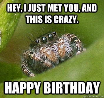 Hey, I just met you, and this is crazy.  Happy Birthday - Hey, I just met you, and this is crazy.  Happy Birthday  Misunderstood Spider