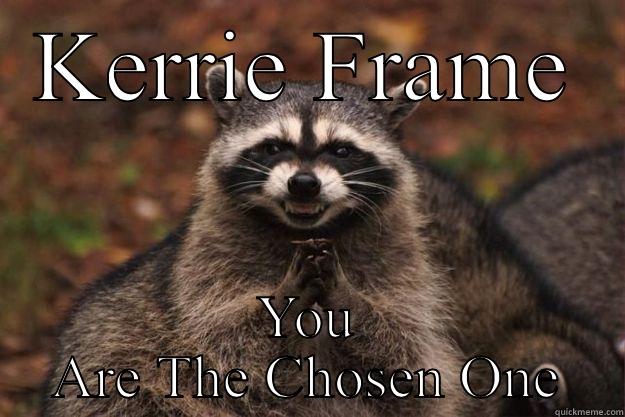 KERRIE FRAME YOU ARE THE CHOSEN ONE Evil Plotting Raccoon