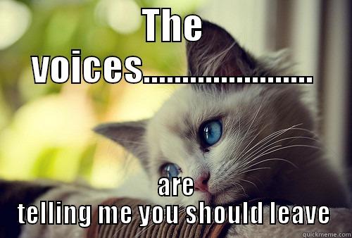 THE VOICES......................  ARE TELLING ME YOU SHOULD LEAVE First World Problems Cat