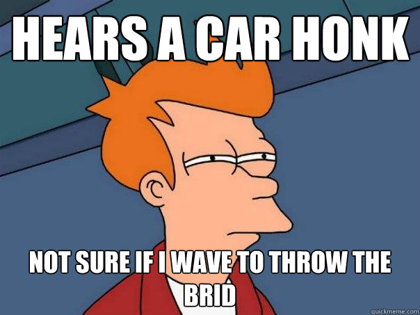 Hears a car honk not sure if I wave to throw the brid - Hears a car honk not sure if I wave to throw the brid  Futurama Fry