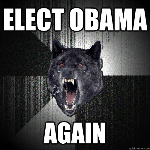 elect obama again  Insanity Wolf