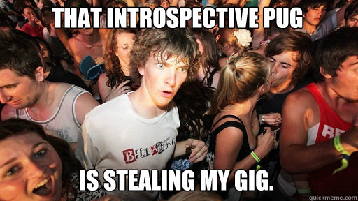 That Introspective Pug  is stealing my gig.  Sudden Clarity Clarence