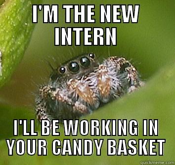 I'M THE NEW INTERN I'LL BE WORKING IN YOUR CANDY BASKET Misunderstood Spider