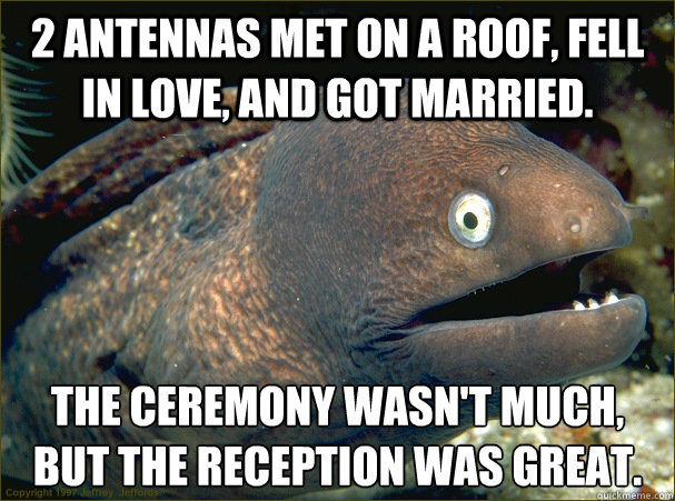 2 antennas met on a roof, fell in love, and got married. The ceremony wasn't much, but the reception was great.  Bad Joke Eel