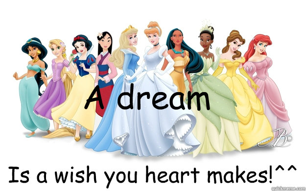 A dream Is a wish you heart makes!^^  disney princesses