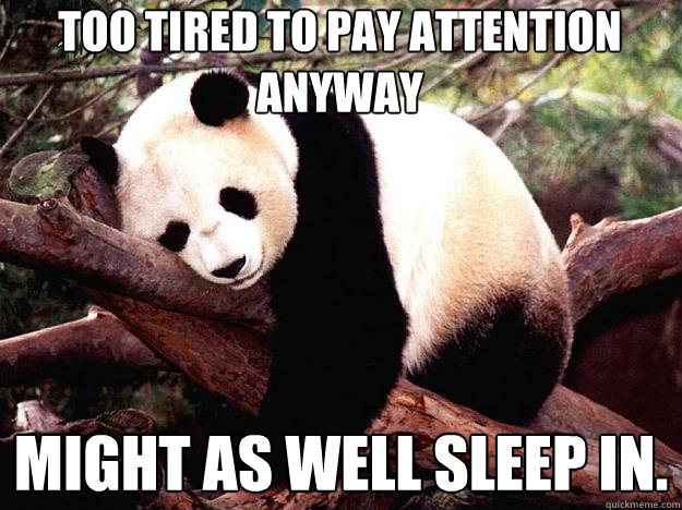 Too tired to pay attention anyway Might as well sleep in.  Procrastination Panda