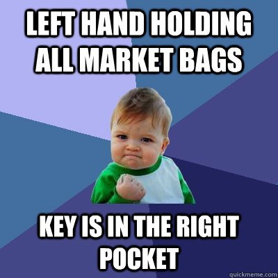 left hand holding all market bags key is in the right pocket  Success Kid