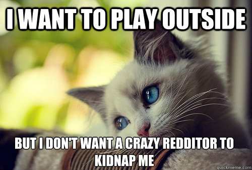 I want to play outside But I don't want a crazy redditor to kidnap me  First World Problems Cat