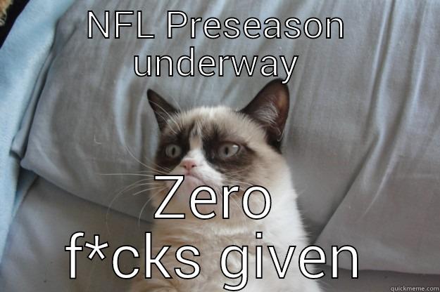 NFL PRESEASON UNDERWAY ZERO F*CKS GIVEN Grumpy Cat