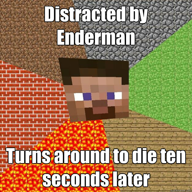 Distracted by Enderman Turns around to die ten seconds later  Minecraft