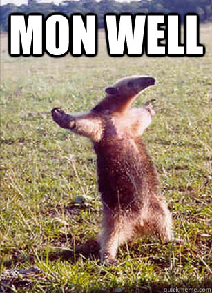 Mon well   Defiace Anteater