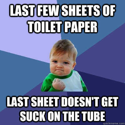 last few sheets of toilet paper last sheet doesn't get suck on the tube  Success Kid