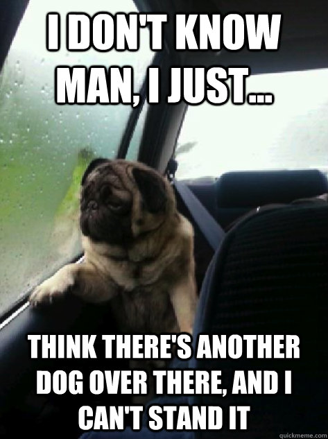 I don't know man, I just... Think there's another dog over there, and i can't stand it  Introspective Pug