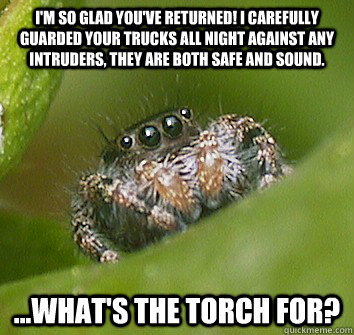 I'm so glad you've returned! I carefully guarded your trucks all night against any intruders, they are both safe and sound. ...what's the torch for?  Misunderstood Spider