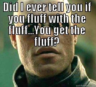 DID I EVER TELL YOU IF YOU FLUFF WITH THE FLUFF...YOU GET THE FLUFF?  Matrix Morpheus