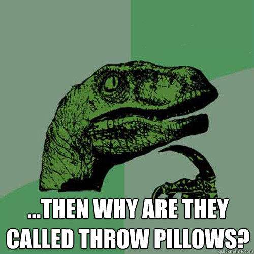  ...then why are they called throw pillows?  Philosoraptor