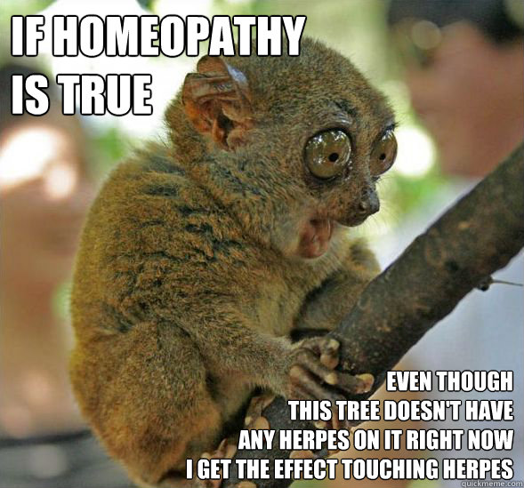 If homeopathy 
is true Even though 
this tree doesn't have
any herpes ON IT RIGHT NOW
i get the effect touching herpes  Sudden Clarity Tarsier