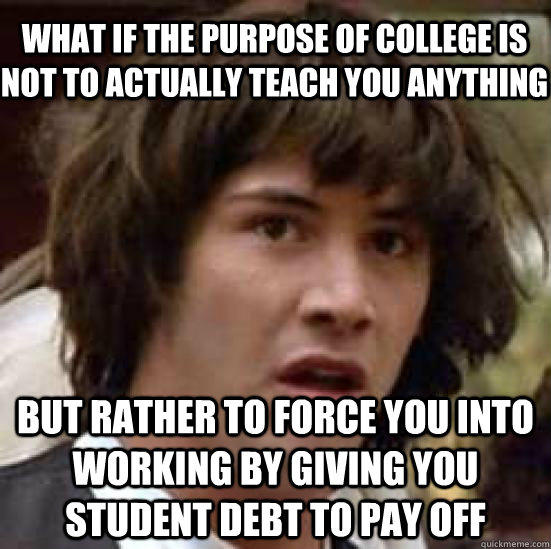 what if the purpose of college is not to actually teach you anything but rather to force you into working by giving you student debt to pay off  