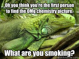 Oh you think you're the first person to find the OMg chemistry picture. What are you smoking?  Irritated Iguana