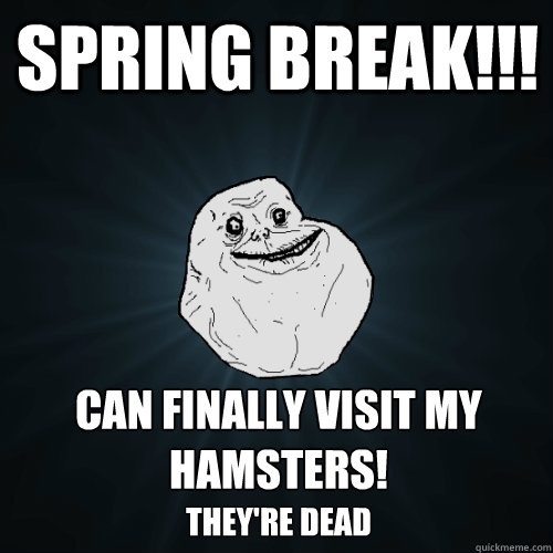 Spring Break!!! Can finally visit my hamsters! They're dead - Spring Break!!! Can finally visit my hamsters! They're dead  Forever Alone