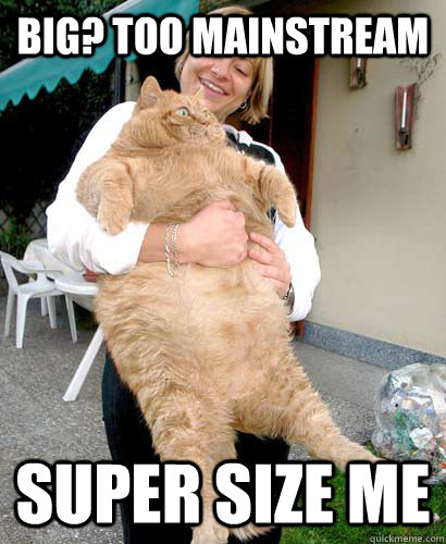 super fat cat memes
