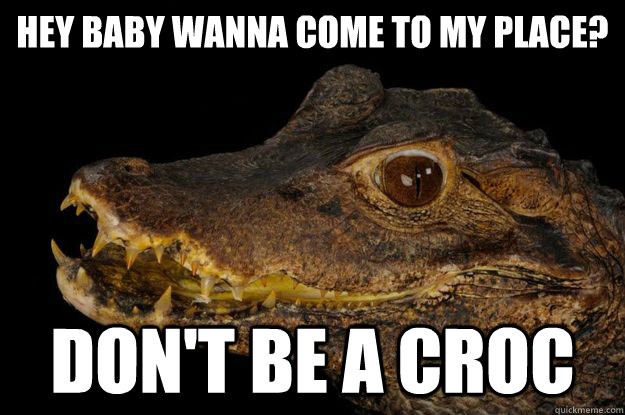 Hey baby wanna come to my place? Don't be a croc - Hey baby wanna come to my place? Don't be a croc  Alley Alligator