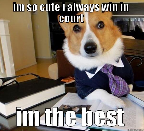 IM SO CUTE I ALWAYS WIN IN COURT IM THE BEST Lawyer Dog