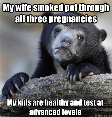 My wife smoked pot through all three pregnancies My kids are healthy and test at advanced levels  Confession Bear