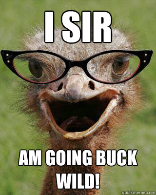 I SIR AM GOING BUCK WILD!  Judgmental Bookseller Ostrich