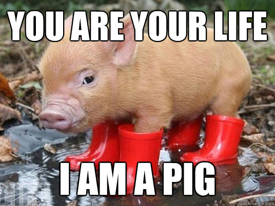 YOU ARE YOUR LIFE I AM A PIG  